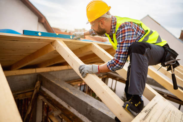 Best New Roof Installation  in Saint Johns University, MN