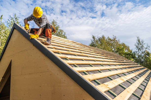 Best Roof Repair Services  in Saint Johns University, MN