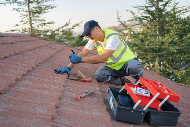 Best Best Roofing Contractors  in Saint Johns University, MN