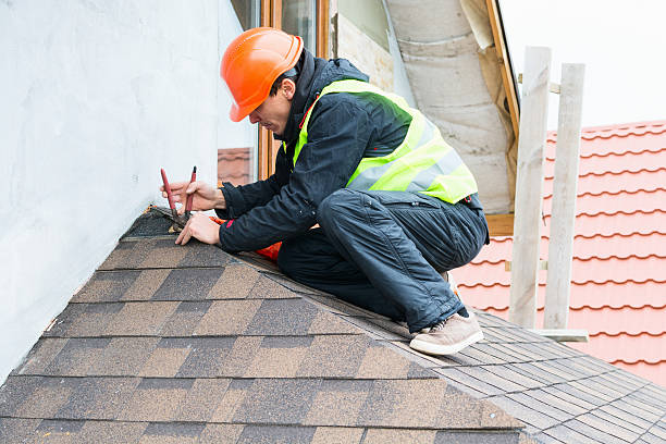 Best Gutter Installation and Roofing  in Saint Johns University, MN