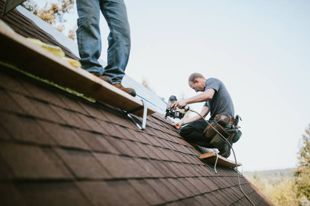 Roof Gutter Cleaning in Saint Johns University, MN